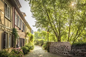 Flower-lined alley in the old town of Frankfurt-Hochst, Frankfurt, Hesse, Germany
