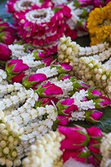 Images Dated 27th January 2016: Flower Market, Bangkok, Thailand