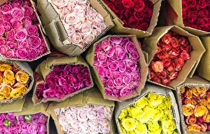 Flower Market Gallery: Flower market in Ho Chi Minh City (Saigon), Vietnam