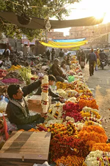 Images Dated 4th June 2013: Flower market, Jaipur, Rajasthan, India