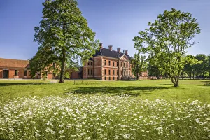 Flower Meadow Prints: Flower meadow in the park of Bothmer Castle in Kluetz