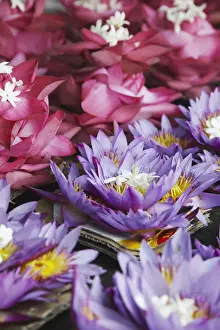 Ceylon Prints: Flower offerings for sale at Temple of the Tooth (Sri Dalada Maligawa), Kandy, Sri Lanka