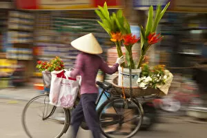 Cycle Gallery: Flower seller in the Old Quarter, Hanoi, Vietnam