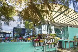 Flower shop, Notting Hill, London, England, UK
