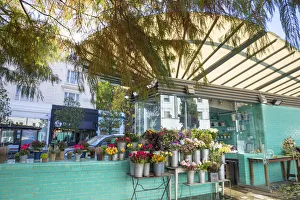 Nottinghill Prints: Flower shop, Notting Hill, London, England, UK