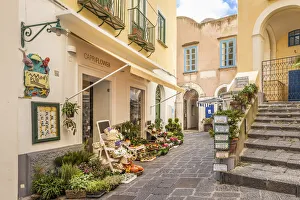 Capri Prints: Flower shop in the old town of Capri, Capri, Gulf of Naples, Campania, Italy