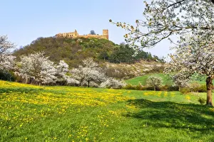 Cherry Tree Prints: Flowering Orchard with Gleichen Castle part of the medieval castle ensemble Drei Gleichen