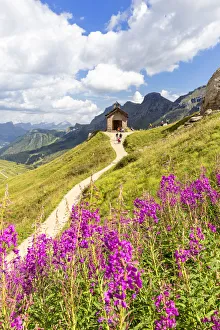 Passo Pordoi Prints: Flowering at Pordoi Pass Chapel. Pordoi Pass, Fassa Valley, Trentino, Dolomites, Italy
