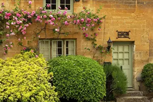 Gloucestershire Prints: Flowering roses on a pretty cottage in the Cotswolds village of Stanton