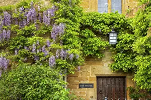 Gloucestershire Prints: Flowering Wisteria on a pretty house in the Cotswolds village of Stanton
