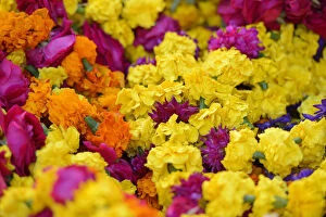 flowers in a market in Pushkar, India, Asia