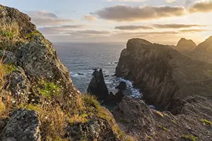 Saint Lawrence Point Prints: Flowers on the rocks and cliffs on the Atlantic Ocean at Point of St Lawrence at dawn