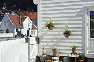 Flowers in a traditional fishermans house of Sandviken, Bergen. Norway