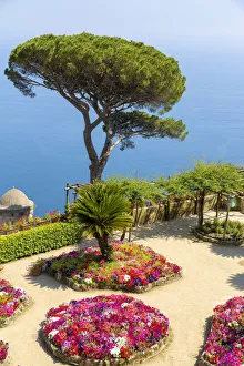 Ravello Prints: flowers and tree in a terrace over the sea, Villa Rufolo, Ravello, Amalfi Coast, Italy
