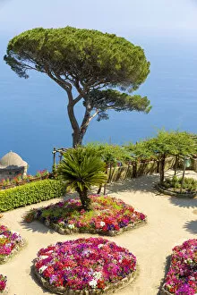 flowers and tree in a terrace over the sea, Villa Rufolo, Ravello, Amalfi Coast, Italy