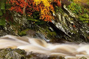 Perthshire Prints: Flowing Stream in Autumn, Glen Bruar, Tayside Region, Scotland