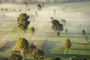 Fog in the fields at Valtellina, Lombardy, Italy