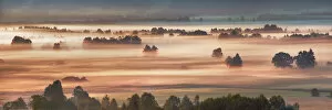 Fog impression at Sindelbachfilz - Germany, Bavaria, Upper Bavaria
