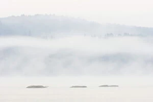 Misty Collection: Fog on Lake of Two Rivers Algonquin Provincial Park, Ontario, Canada