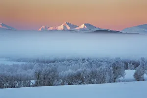 Lapland Prints: Fog landscape on Senja - Norway, Troms, Senja, Sorli