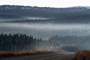 Fog on a mountain landscape of the Mpumalanga, region of South Africa