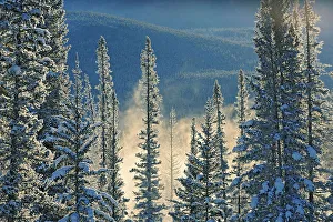 Images Dated 20th April 2023: Fog rising over the Bow River st sunrise. Castle Junction, Banff National Park, Alberta, Canada