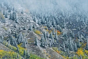Images Dated 14th June 2023: Fog and snow in autumn in the Canadian Rocky Mountains Kananaskis Country, Alberta, Canada