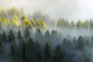 Passo Giau Prints: As the fog started to lift, layers upon layers started to appear and reveal the forests below the Giau Pass