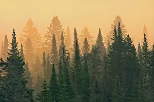 Sunrise Sunset Prints: Fog at sunrise on Lac-Lajoie. Parc national du Mont-Tremblant, Quebec, Canada