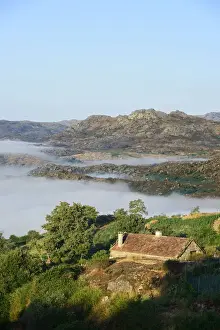 Oak Tree Prints: The fog surrounding the old and traditional village of Pitoes das Junias