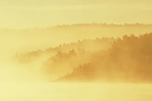 Monochrome Prints: Fog along the Vermillion River at sunrise Whitefish, Ontario, Canada