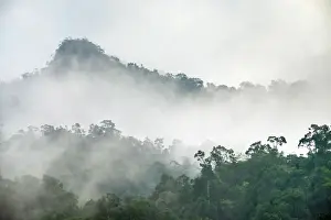 Viet Nam Prints: Foggy jungle landscape in Phong Nha-Ke Bang National Park, Bo Trach District, Quang