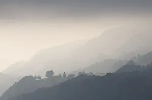 Haze Prints: Foggy landscape near Immenstadt, Allgaeu, Bavaria, Germany