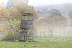 Engenhahn Prints: Foggy morning in the orchard meadows near Engenhahn, Niedernhausen, Hesse, Germany