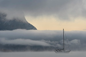 Salmon Arm Prints: Foggy morning, Salmon Arm, British Columbia, Canada
