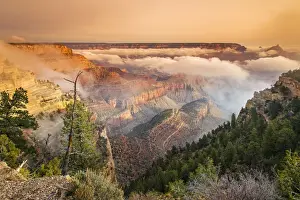 Foggy sunrise in the south rim, Grand Canyon National Park, Arizona, USA