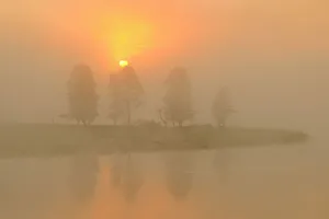 Wyoming Prints: Foggy sunrise over the Yellowstone River in the Hayden Valley