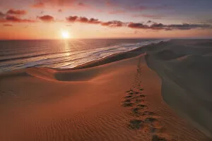 Sand Desert Collection: Foot trace in desert - Namibia, Hardap, Namib, Sandwich Harbour Lagoon - Namib Naukluft