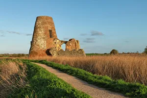 Reedbed Prints: Footpath Leading to St. Benet's Abbey, Norfolk Broads National Park, Norfolk, England