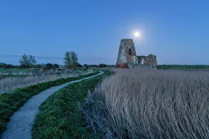 Reedbed Prints: Footpath leading to St. Benet's Abbey at Twilight