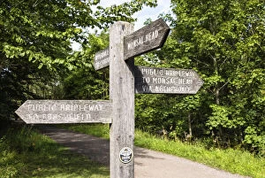 Images Dated 14th July 2021: A footpath sign in Monsal Dale, Peak District National Park, Derbyshire, England