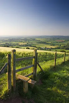 Style Prints: Footpath and style through fields, Raddon Hill, Mid Devon, England. Summer (July) 2009