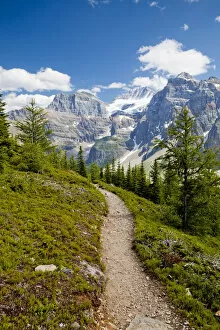 Images Dated 30th November 2016: Footpath through Valley of the Ten Peaks, Banff National Park, Alberta, Canada