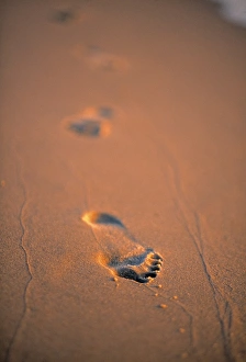 Footprints in the Sand