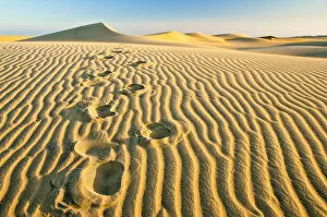 Deserts Gallery: Footsteps on the sand in a beach that looks like a desert, Maspalomas, Gran Canaria