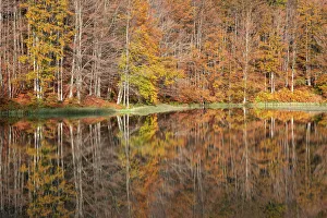 Long Exposure Prints: the forest with its autumn colors reflected in the Pranda Lake