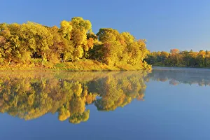 Red River Prints: Forest in autumn colors reflected in the Red River at sunrise