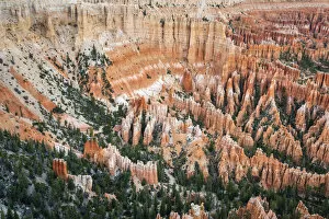 Forest in Bryce canyon surrounded by hoodoos, Bryce Point, Bryce Canyon National Park