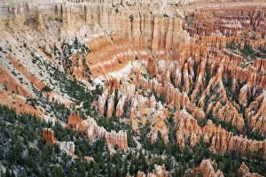 Growth Prints: Forest in Bryce canyon surrounded by hoodoos, Bryce Point, Bryce Canyon National Park