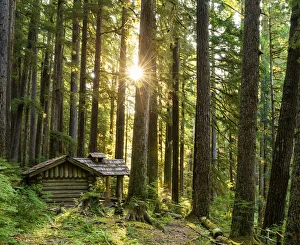 Forest Cabin, Sol Duc, Olympic National Park, Washington, USA Forest Cabin, Sol Duc, Olympic National Park, Washington, USA